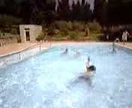 Immagine anteprima YouTube