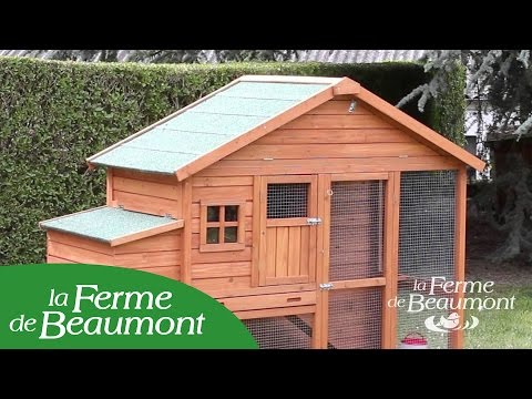 Coop chikens: Build a basic low cost chicken coop