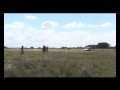 Ver Video