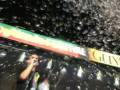 Collie Buddz -Mamacita, Live at Guyana Music Festival