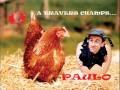 PAULO \" � travers champs\"