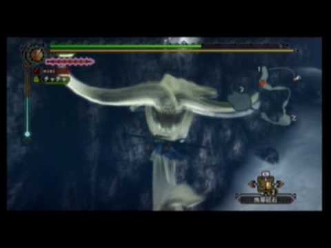 Wii 怪物猎人3 大海龙part 1