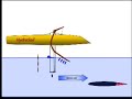 Control System Animation