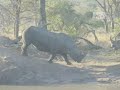 See the 10 Most Shocking Animal Attacks EVER: animal.discovery.com