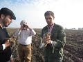 Ver vídeo