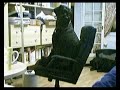 My Funny Giant Schnauzer Archie