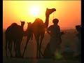 Rajasthan(india)