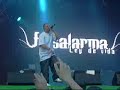 Falsalarma