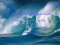 Appel des jeunes musulmans pour 1 sursaut de conscience.WMV