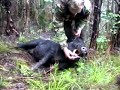 Hunting wild pigs in the New Zealand mountains with nothing but dogs and a knife.Fantastic mountain scenery and more wild game than you have ever seen before.