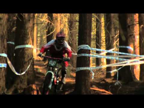 chain reaction cycles