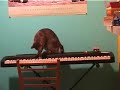 [Video]