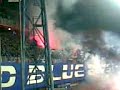 Badblueboys Dinamo basel