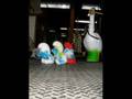 Smurfed Goose