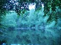 A nature walk