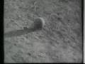 Cinematic Orchestra Man w/ the Movie Camera 6b