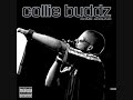 Collie Buddz - Come Around