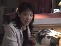 NDP MP Olivia Chow calls for pet food regulation in Canada