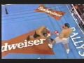 Kimbo slice, meet David Tua