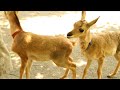 temp-thumb