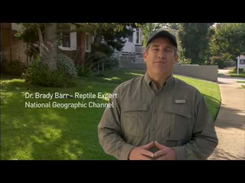 Geico Commercial with Dr. Brady Barr