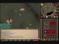 videos de dn baddogs pics