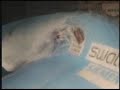 Flowrider 2000
