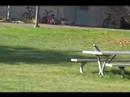 Manzi flying Manzi flying
