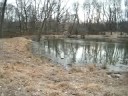 The pond Bruno likes to visit