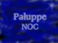 paluppe - noc - połczyn zdrój