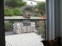 Sadie talking with cat