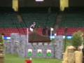 Express Eventing - William Fox Pitt jumping phases.wmv