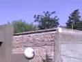 videos de boludeando en el patio 3