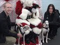 Whippets and Santa Pawz 2006 Whippets and Santa Pawz 2006