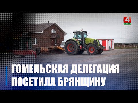 Делегация Гомельщины ознакомилась с сельскохозяйственным опытом Брянщины видео