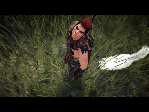 Black Desert Online Blader Gameplay and Tiger Blade Test