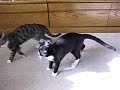 See Video