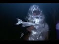 styrofoam - 