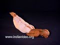 Yoga Posture - Ardha Salabhasana Yoga Posture - Ardha Salabhasana