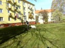 Shegy - 5,5 months, agility