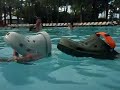 RARE: Footage of Croc's mating! RARE: Footage of Croc's mating!