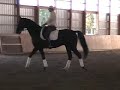 S.9  STEFFEN PETERS AND JANET BROWN-FOY  (Overview)