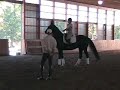 S.9  STEFFEN PETERS AND JANET BROWN-FOY  (Overview)