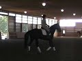 S.9  STEFFEN PETERS AND JANET BROWN-FOY  (Overview)
