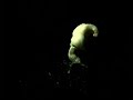 pop corn in slow motion
