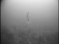 dances with Pike
