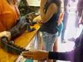 Topsfield Fair 2007