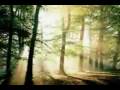 videos de En el Paraíso - Guillermo Aárra
