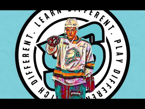 Henry Brzustewicz 2024-25 OHL Highlights (Los Angeles Kings 1st Rd)