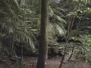 PALENQUE part3